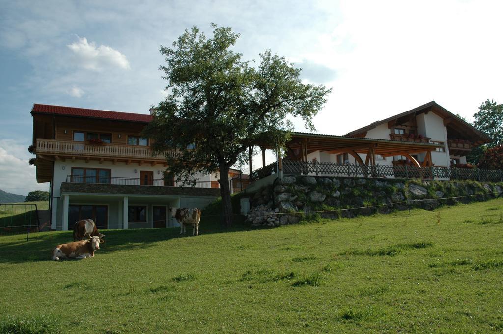 Ferienhaus U. Appartement Knauss Schladming Bagian luar foto